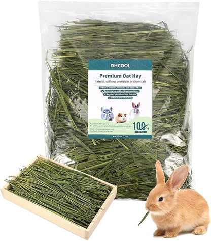 Premium Oat Hay for Pets - Dust Free Natural Green Fresh Pet Food Hay for Rabbits, Guinea Pigs, Chinchillas, Hamsters &amp; Gerbils - 2.2lbs