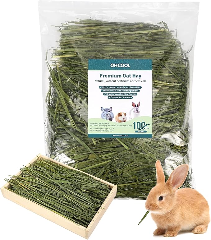 Premium Oat Hay for Pets - Dust Free Natural Green Fresh Pet Food Hay for Rabbits, Guinea Pigs, Chinchillas, Hamsters &amp; Gerbils - 1.1lbs