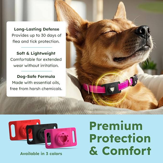 BugMD Paw Guardian Flea &amp; Tick Pendant (3-Pack) with AirTag Holder – Plant-Based Flea &amp; Tick Prevention for Dogs – Pet Collar Tag &amp; GPS Tracker Holder for Dogs – Black