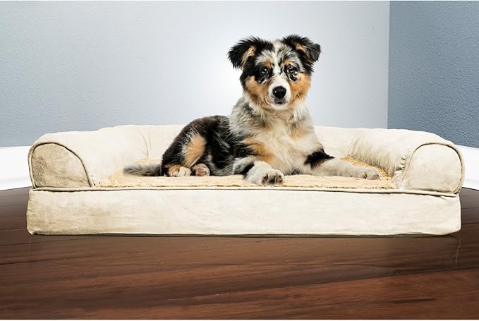 Furhaven Orthopedic Dog Bed for Medium/Small Dogs w/ Removable Bolsters &amp; Washable Cover, For Dogs Up to 35 lbs - Plush &amp; Suede Sofa - Espresso, Medium