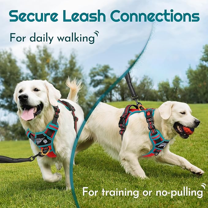 Eagloo Dog Harness Small Sized, Easy Wearing with 3 Buckles, Adjustable No Pull Pet Harness with 2 Rings for Walking, No Chock Reflective Soft Padded Vest with Control Handle, Red &amp; Teal, S