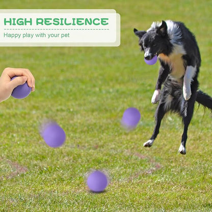 Shappy 24 Pieces Rubber Dog Tennis Balls for Dog Colorful Catching Pet Balls for Fetch Training 2.4 Inch Interactive Bounce and Floatable Toy for Park Beach