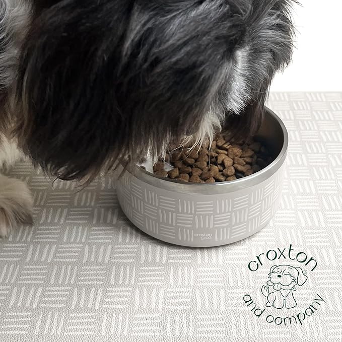 CROXTON &amp; CO. Stainless Steel Pet Bowl for Dogs &amp; Cats | Insulated Food Bowls for Dog Cat | No Tip No Slip | Non-Slip Rubber Base | Dishwasher Safe | Medium (4 Cups)