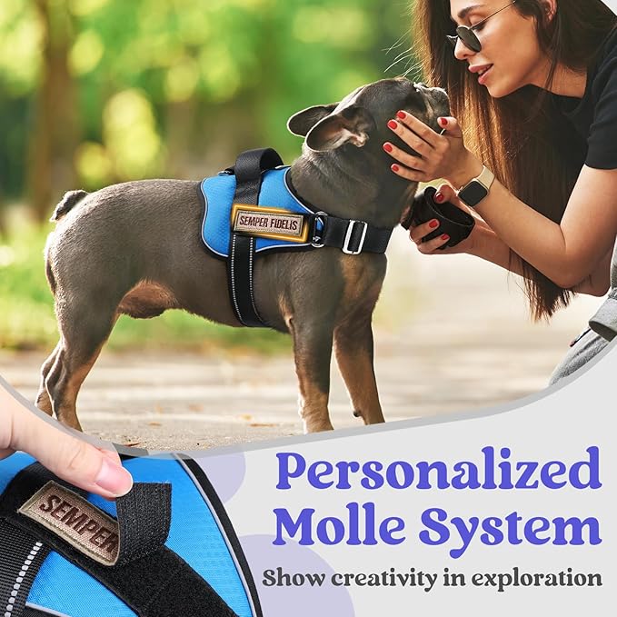 rabbitgoo Dog Harness Medium Sized, Easy On Pet Vest with One Buckle, No Pull Adjustable Service Harness with D-Ring &amp; Handle, Reflective for Safety Walking, Training, Blue, M