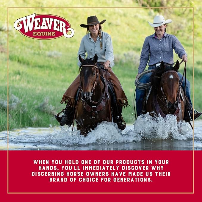 Weaver Equine Breakaway Horse Halter, Comfort Foam Padding, Adjustable Chin &amp; Throat Snap Halters for Horses, Equine Tack,Average Size