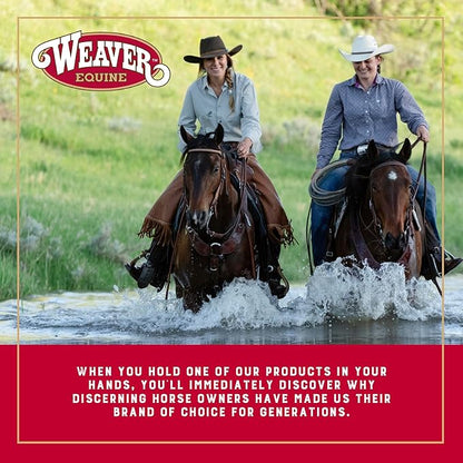 Weaver Equine Breakaway Horse Halter, Comfort Foam Padding, Adjustable Chin &amp; Throat Snap Halters for Horses, Equine Tack,Average Size