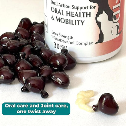 1TDC WorksSoWell Dual Action Joint Supplement for Dogs &amp; Cats - Hip and Joint Supplement for Large Breed &amp; Small Breed - Also Great for Oral Health - Muscle &amp; Stamina Recovery &amp; Arthritis - 30ct