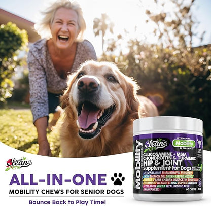 Hip and Joint Supplement Dogs with Glucosamine for Dogs + Chondroitin, Turmeric, Hyaluronic Acid, MSM, Salmon Oil, Collagen, Vitamin C, Omega 3 Senior Dog Supplements Beef Flavor - 1Pack