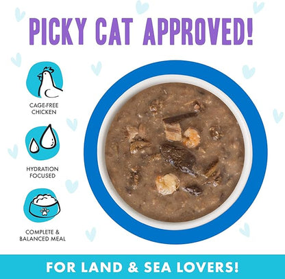 Weruva B.F.F. OMG - Best Feline Friend Oh My Gravy!, Ciao Baby! with Chicken &amp; Shrimp in Gravy Cat Food, 2.8oz Pouch (Pack of 12)