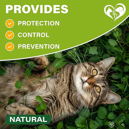 Natural Flea &amp; Tick Collar for Cats - 12 Months Control of Best Prevention &amp; Safe Treatment - Anti Fleas and Ticks Essential Oil Repellent (2 Pack)