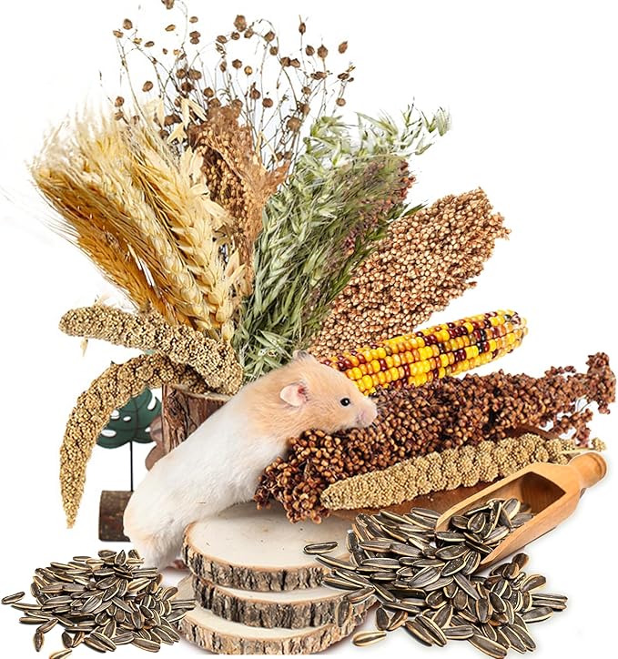 Natural Ear of Grain Flower&amp;Herb Bedding Mate Habitat Decor, Adding Fun Hamster Accessories for Hamsters Gerbils Lemming