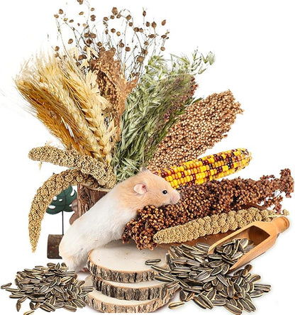 Natural Ear of Grain Flower&amp;Herb Bedding Mate Habitat Decor, Adding Fun Hamster Accessories for Hamsters Gerbils Lemming