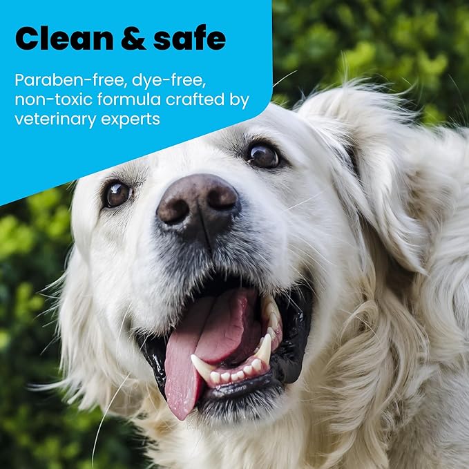 Oxydent Premium Pet Dental Care Solution - Pet Water Additive &amp; Mouthwash for Teeth Cleaning - Eliminate Bad Dog &amp; Cat Bad Breath - Dog Dental Rinse - Fights Tartar &amp; Plaque - 1 Gallon