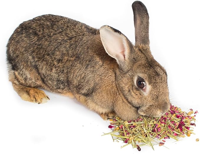 Herbal Calming Forage (2 Ounces): Premium Rabbit Food, Hay for Guinea Pigs Food, Chinchilla Food, Hamster Treat Made with Timothy Hay &amp; Organic Herbs (2 Ounces)