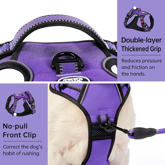 IVY&amp;LANE No Pull Dog Harness for Large Dogs, Dog Vest Harness with Leash, Safety Belt and Storage Strap, Fully Adjustable Harness, 360° Reflective Strip, Soft Handle (Purple, XL)