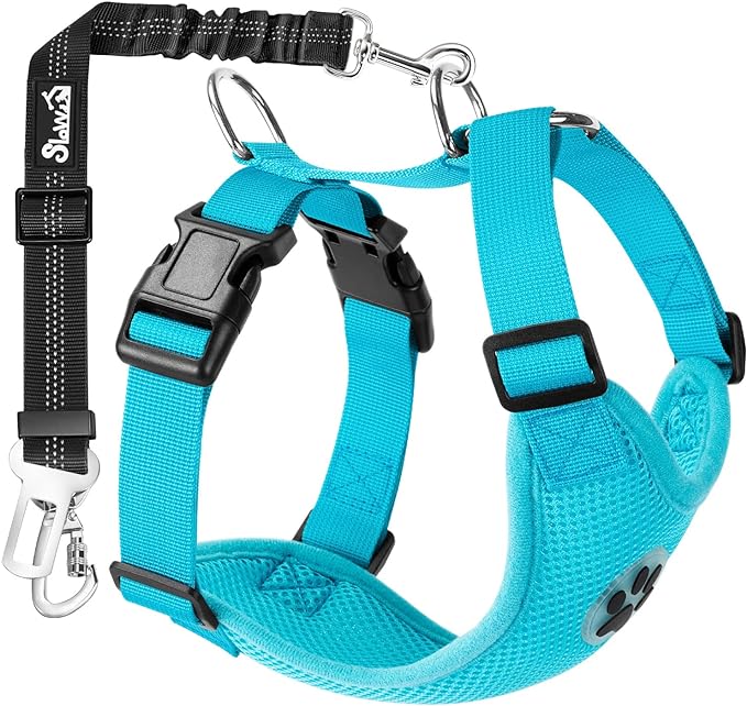 SlowTon Dog Seat Belt Harness for Car, Dog Car Harness Adjustable Mesh Breathable &amp; Dog Seatbelt Safety Tether with Elastic Bungee for Small Medium Large Pets(Light Blue, Double Clip, M)