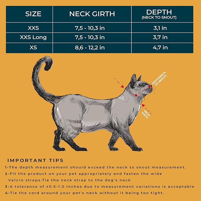 Cat Cone Collar – Colorful Cat Pattern - Lightweight Recovery Cone for Cats, Anti-Lick &amp; Anti-Scratch, Vet Recommended, Elizabethan Collar (Colorful, XXS [Neck Girth: 7.5"-10.3"])