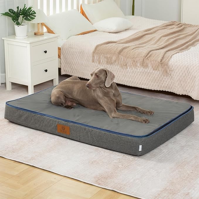 Orthopedic Memory Foam Giant Dog Bed - 6" Thick Beds for Large Sized Dog - Waterproof Removable Washable Cover &amp; Wrap-Around Zipper - Ultimate Comfort &amp; Easy Maintenance, Dark Grey
