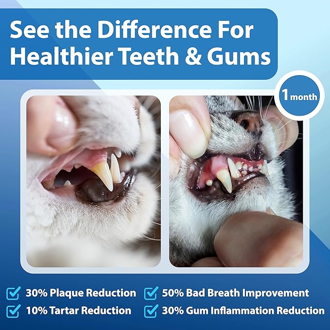 Cat Dental Care Powder Bad Breath Treatment for Cats Teeth, Mouth, Gums &amp; Gut, Plaque Off,Tartar Control, Help Feline Gingivitis and Stomatitis, with Natural Extracts &amp; Probiotics