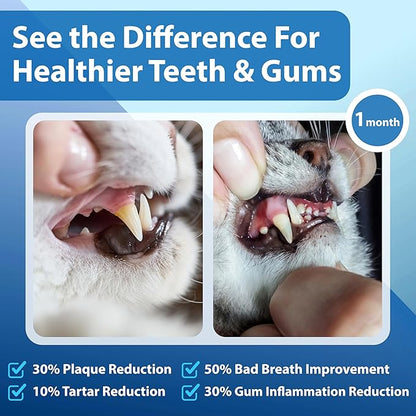 Cat Dental Care Powder Bad Breath Treatment for Cats Teeth, Mouth, Gums &amp; Gut, Plaque Off,Tartar Control, Help Feline Gingivitis and Stomatitis, with Natural Extracts &amp; Probiotics