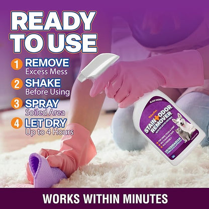 OdorPet Pet Stain Remover and Odor Eliminator - 16 Oz Ready To Use Spray, Non Staining, Professional Strength, Black Cherry Scent by Alpha Tech Pet