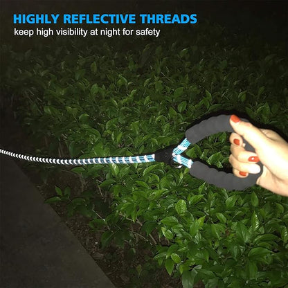 Heavy Duty Dog Leash - Comfortable Padded Handle, 5 ft Long - Dog Leashes for Small Medium Large Dogs (Leash+Collar L Neck 20"-25", Blue)