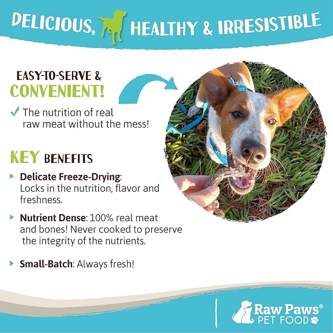 Raw Paws Freeze-Dried Chicken Necks for Dogs &amp; Cats (4-Ounce) - Made in USA - Raw Freeze Dried Dog Treats - Chicken Necks for Cats - Single Ingredient Chews