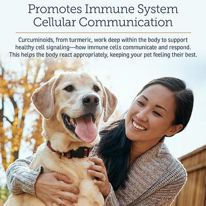 Rx Vitamins CurcuWIN - Curcumin for Dogs &amp; Cats - Vitamins and Supplements, Allergy Relief - Provides Immune Support &amp; Aids Digestive Support - Joint Supplement - 90ct