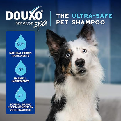 DOUXO® Skin &amp; Coat SPA - Ultra-Safe Quick Refresh Leave-on Mousse for Dogs, 10 fl oz, Safely Cleans and Refreshes, Leaves The Coat Soft, Radiant and Smelling Great, Skin-Friendly Formula