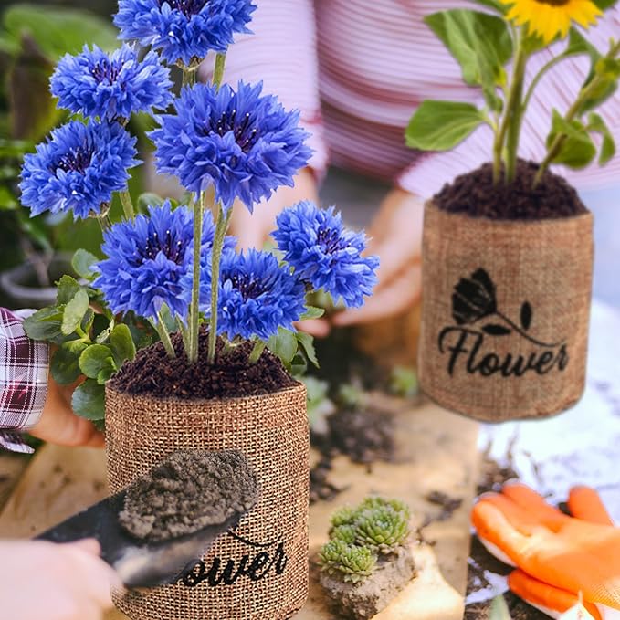 Indoor Daisy Garden Starter Kit, 4 Flower Seeds Growing into Shasta Daisy, Cornflower, Sunflower, Zinnia, Including Complete Gardening Tools, Christmas Gifts for Women Men &amp; Beginners