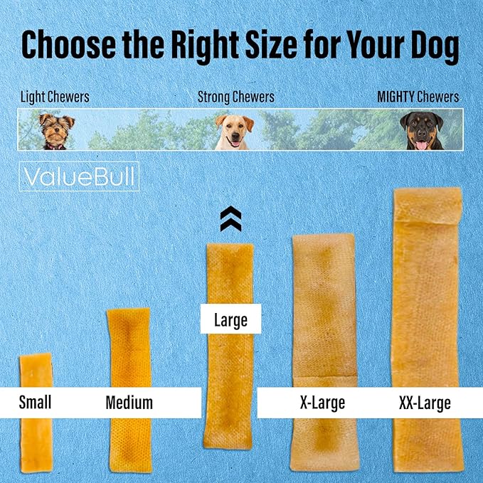 ValueBull Himalayan Yak Cheese Dog Chews, Large, 10 ct - Long Lasting for Aggressive Chewers, All Natural, Healthy &amp; Safe, Low Odor Nepal Yak Milk Chews