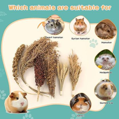 Hamster Spray Set - Natural Snack Grains &amp; Chew Toys for Cage Decoration Accessories, Soft Bedding for Dwarf Syrian Hamsters, Gerbils, Mice &amp; Small Pets