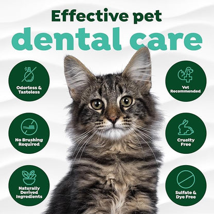 TropiClean Fresh Breath Drops for Cats Travel Size | Cat Mouthwash | Water Additive For Cats | Kitten Bad Breath Water Additive | Made in the USA | 2.2 oz.  