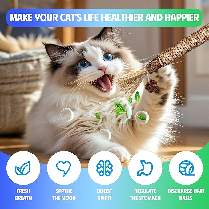 Cat Toys Chew Rope &amp; Silvervine Sticks for Bored Indoor Adult Cats, 4Pcs Interactive Catnip Toys for Cats with Refillable Natural Catnip Bag for Teeth Cleaning