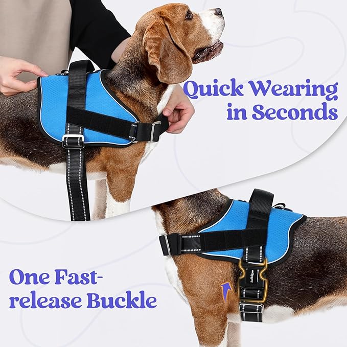 rabbitgoo Dog Harness Medium Sized, Easy On Pet Vest with One Buckle, No Pull Adjustable Service Harness with D-Ring &amp; Handle, Reflective for Safety Walking, Training, Blue, M