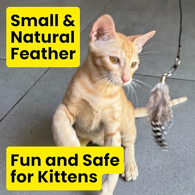 Feather Toys Replacements (3 Pc) - Cat Toys &amp; Kitten Toys for Indoor Kittens, Set of Replacement Feather Attachments Extra Small and Durable, for Cat Wands, Natural and Safe