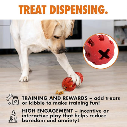 Max Fusion with Nike Grind, Dog Chew Toy, Arlee Weeble Treat Dispensing Toy for Dogs, Durable &amp; Interactive for Pets, L
