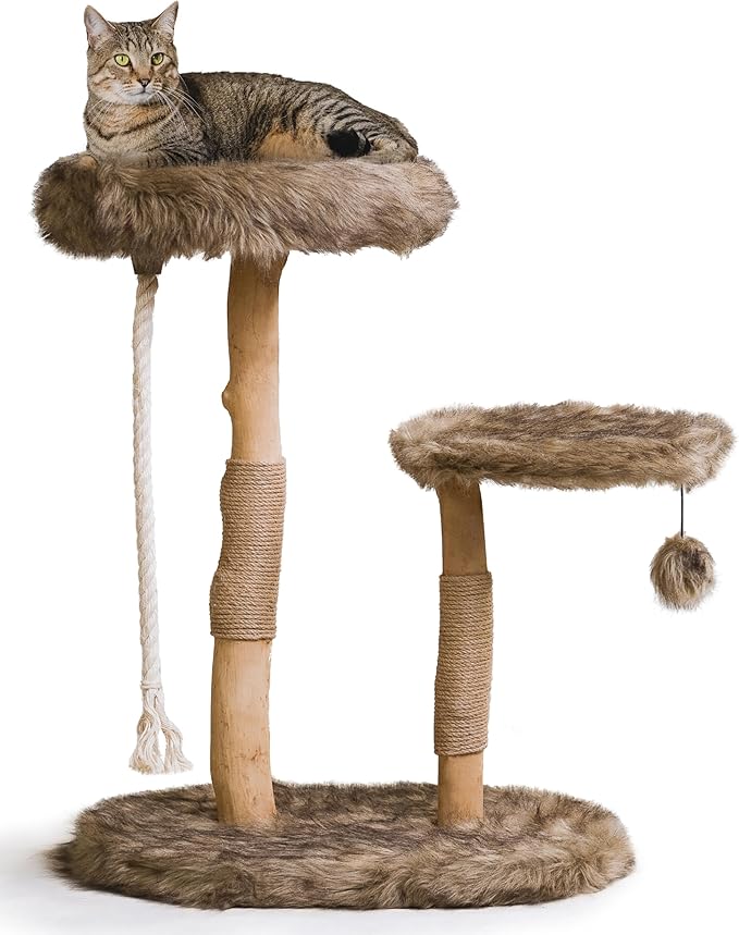 Mau Lifestyle Modern Cat Tree Tower - Natural-Branch Cat Condo &amp; Luxury Wood Cat Scratching Tree - Luxury Cat Gifts by Mau Lifestyle