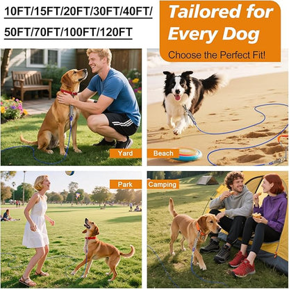 Tresbro 30 FT Dog Tie Out Cable with Spring, Shock Absorbing Tether Chains for Outside Aavilable in 10/15/20/25/30/40/50/70/100/120 FT, Heavy Duty Leads for Yard for Medium &amp; Large Dogs Up to 500 LBS