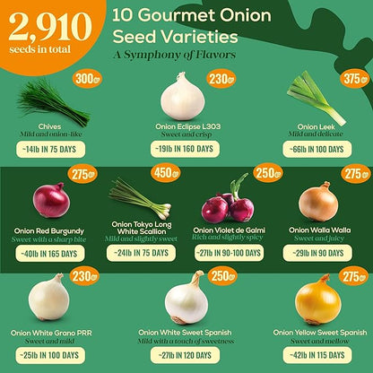 10 Gourmet Onion Seeds for Planting Variety Pack - 2,900+ Non-GMO Heirloom Vegetable Seeds for Growing Indoor &amp; Outdoor: Red Burgundy, Leek, Walla Walla, Grano White &amp; Yellow Sweet Spanish