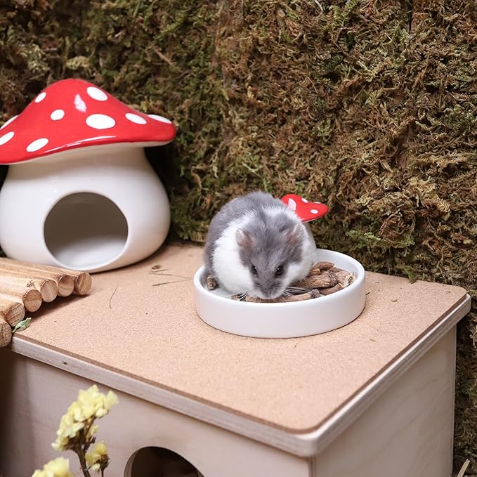 Niteangel Hamster Snack &amp; Treats Toy - Small Animal Natural Treat for Dwarf Syrian Robo Hamsters Gerbils Mice Lemmings Degus or Other Small-Sized Pets