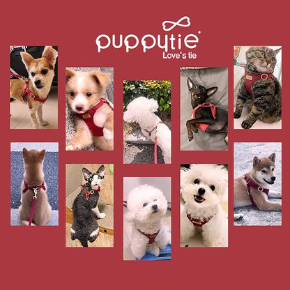 Puppytie No Pull Dog Harness with Multifunction Dog Leash,Soft Adjustable No Choke Escape Proof Pet Harness Vest for Medium Dogs or Large Dogs,red Hawthorn,M