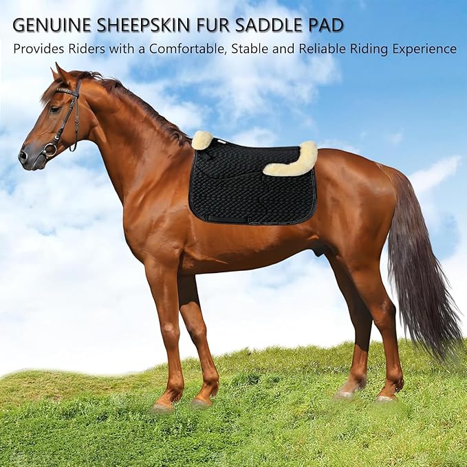 Woolous Dressage Saddle Pad, English Saddle Pad with Sheepskin Trim, Lambskin Wool Fleece Lining, Square Saddle Pad for Equestrian Riding, Comfortable &amp; Shock Absorbing