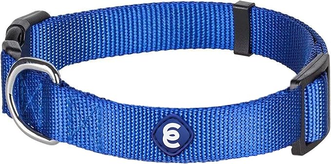 Blueberry Pet Essentials Small Dog Collar in Royal Blue | Adjustable &amp; Eco-Friendly Durable Nylon Strap | Classic Collar for Small Dogs, Boy &amp; Girl Pets