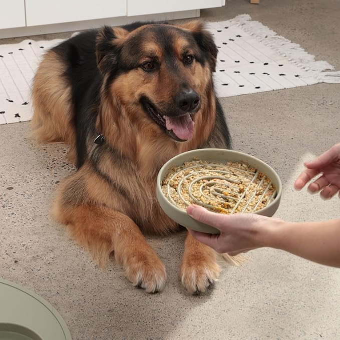 The Slowdown Bowl Silicone Slow Feeder for Dogs &amp; Puppies, Slow Eating, Modern Lick Mat Design, Reduces Gulping, Fits 2.5 Cups 9.5” Across x 1.5” Tall, Mealtime Challenge, Large-Spruce