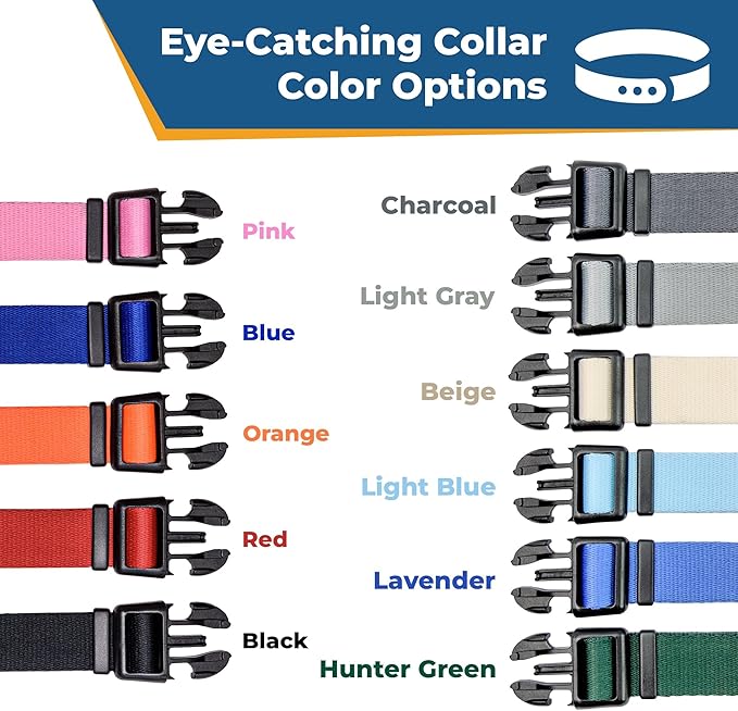 GoTags Personalized Dog Collar with Nameplate, Adjustable Dog Collar with Custom Engraved Slide On Pet ID Tag in Stainless Steel, Silent, No Noise Dog Tag (Light Blue, Medium)