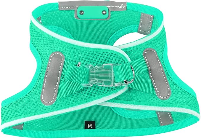 Light Up Dog Harness,Rechargeable LED Dog Harness for Small Medium Large Dogs,Reflective Lighted Safety Vest for Night Walking &amp; Camping,Lightweight &amp; Adjustable,Light Green,XS
