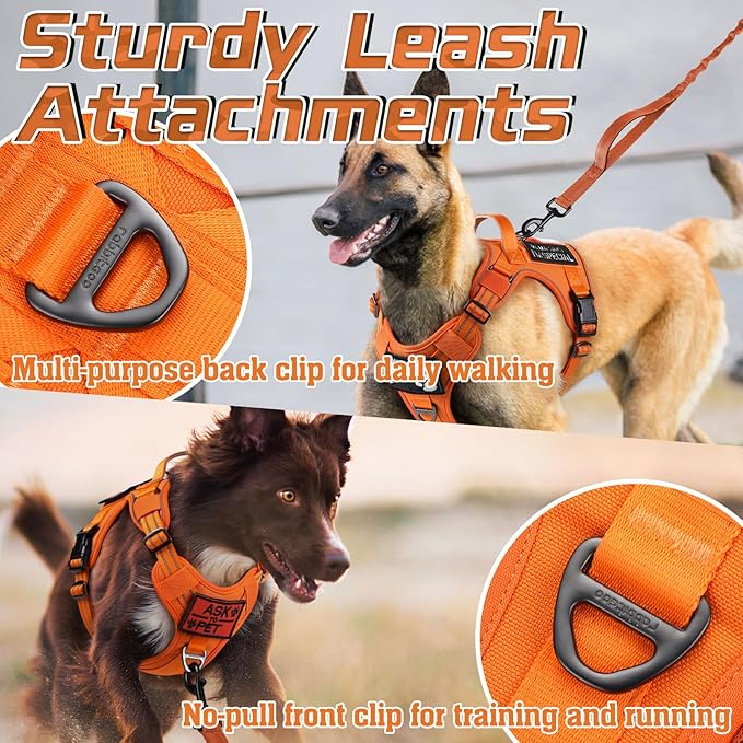 rabbitgoo Tactical Dog Harness Medium Sized Dog, No Pull Military Service Vest with Handle &amp; Molle, Easy Control for Training Walking, Adjustable Reflective Straps, Orange, M