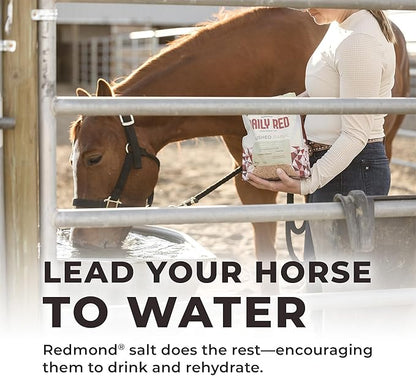 Redmond Daily Red Crushed Garlic | Horse Minerals &amp; Vitamins Supplement | Garlic for Horses