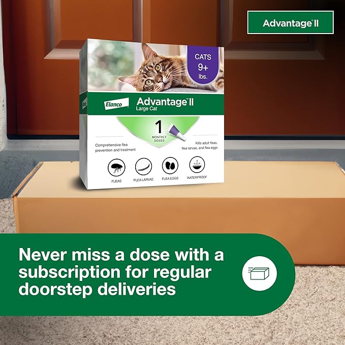 Advantage II Large Cat Vet-Recommended Flea Treatment &amp; Prevention | Cats Over 9 lbs. | 1-Month Supply